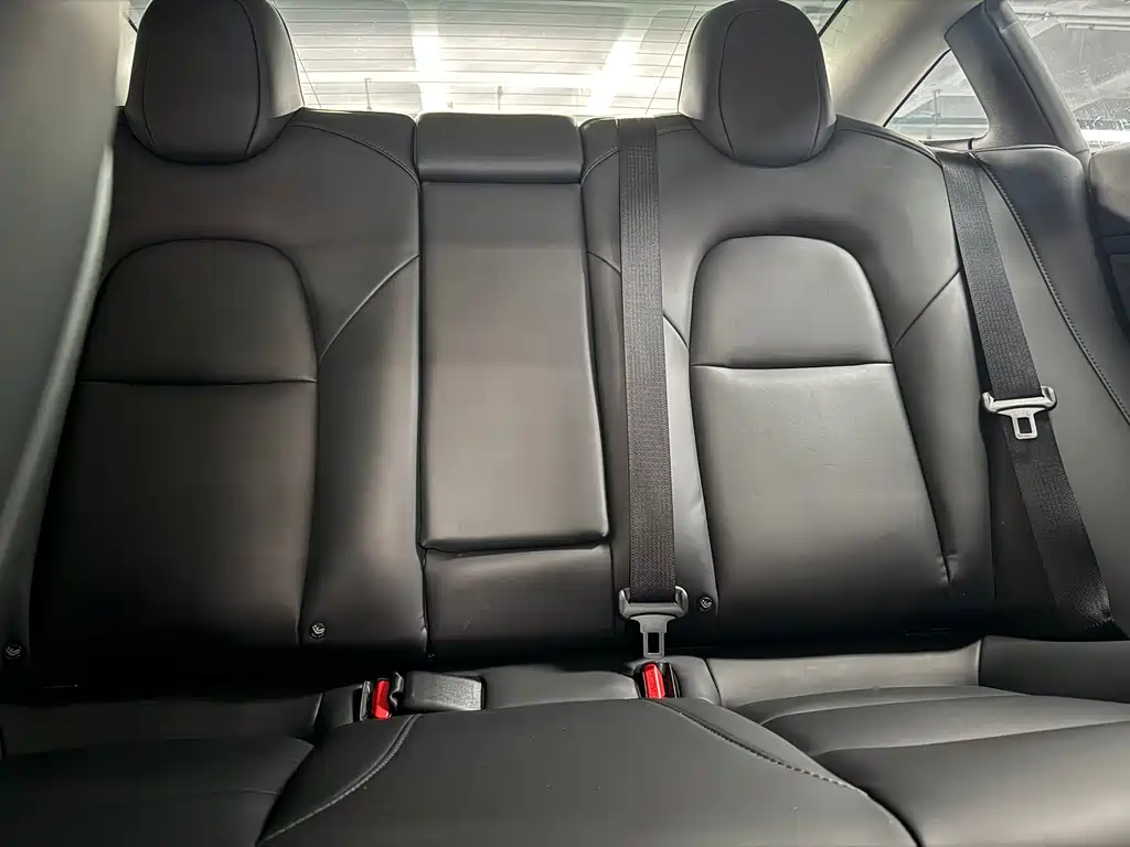 Tesla Model 3 2021 Performance