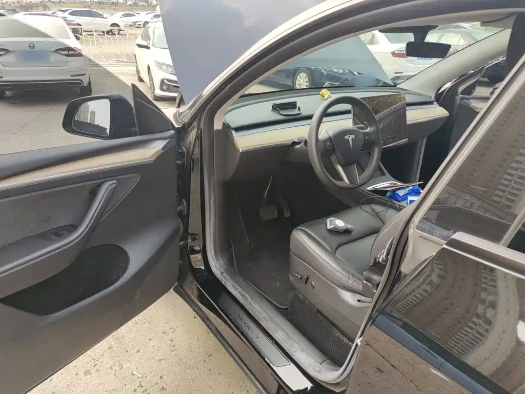 Tesla Model Y — миниатюра 17