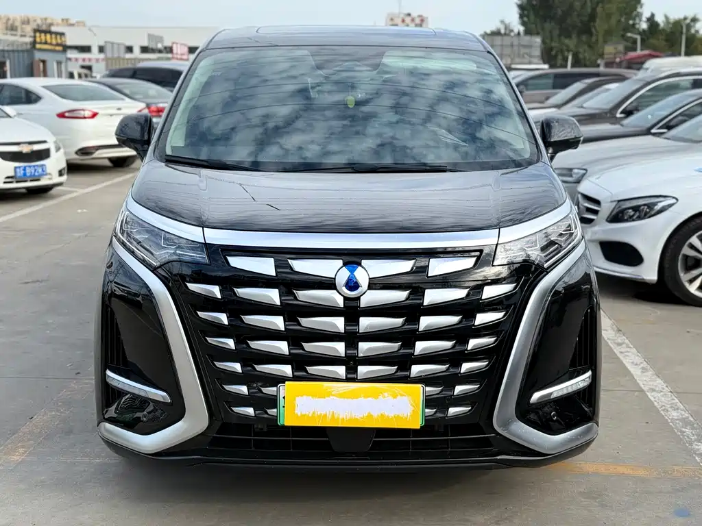 Denza Denza D9 — миниатюра 2