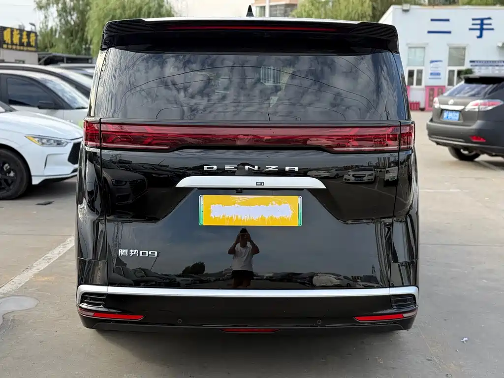 Denza Denza D9 — миниатюра 5