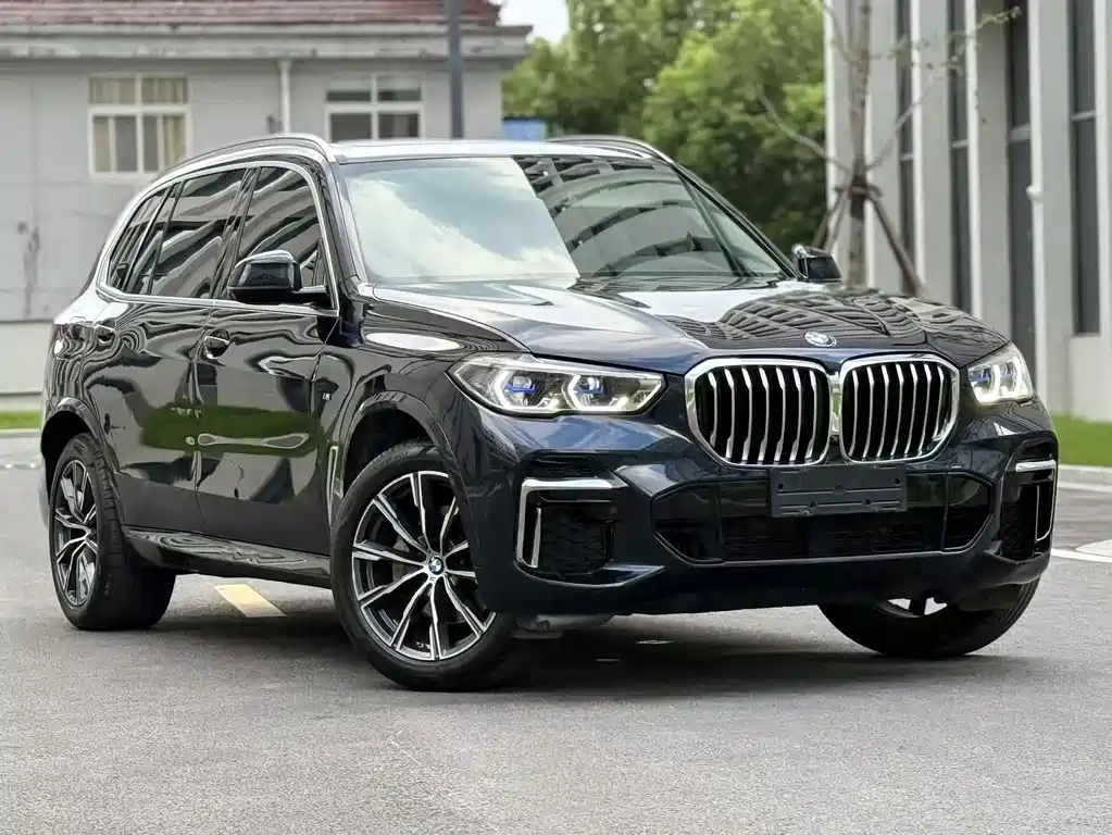 BMW X5 — миниатюра 3
