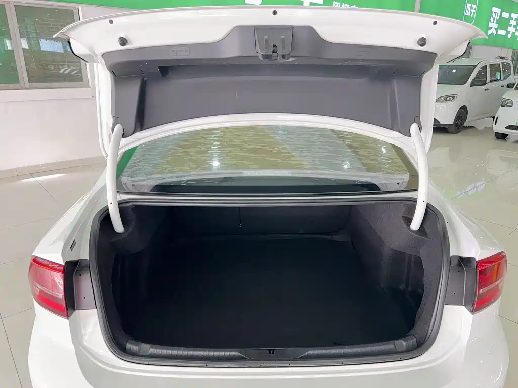 Volkswagen Lamando — миниатюра 22