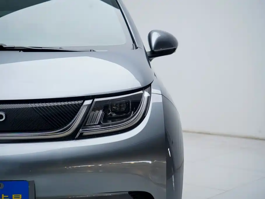 BYD Dolphin — миниатюра 18