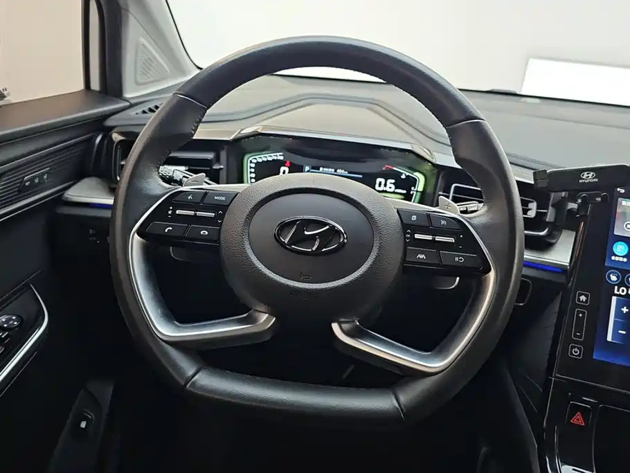 Hyundai Custo — миниатюра 15
