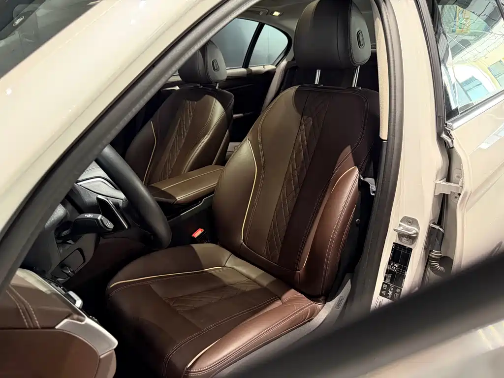 BMW 5 Series 5 2020 530Li xDrive Luxury