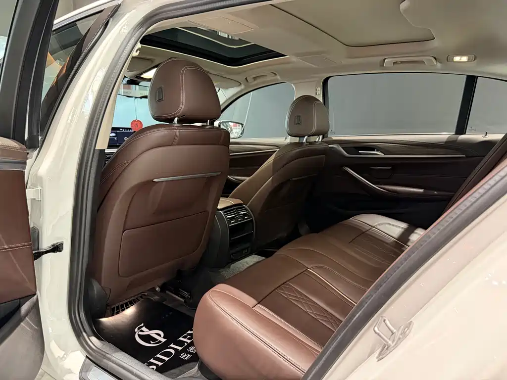 BMW 5 Series 5 2020 530Li xDrive Luxury