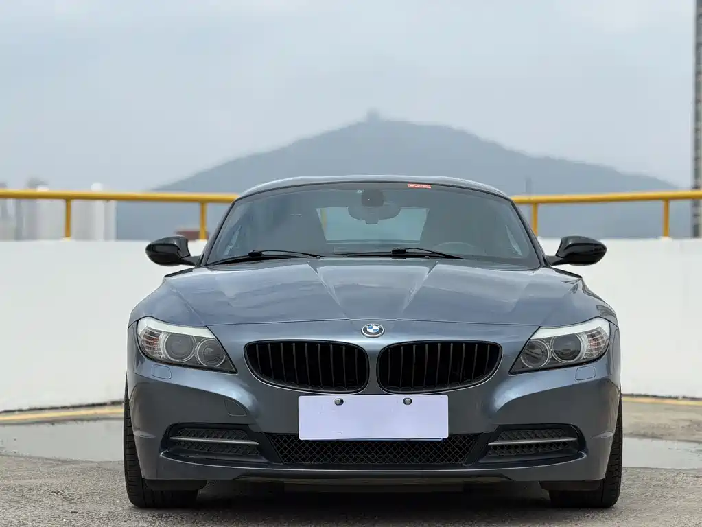 BMW Z4 2009 sDrive23i Lead