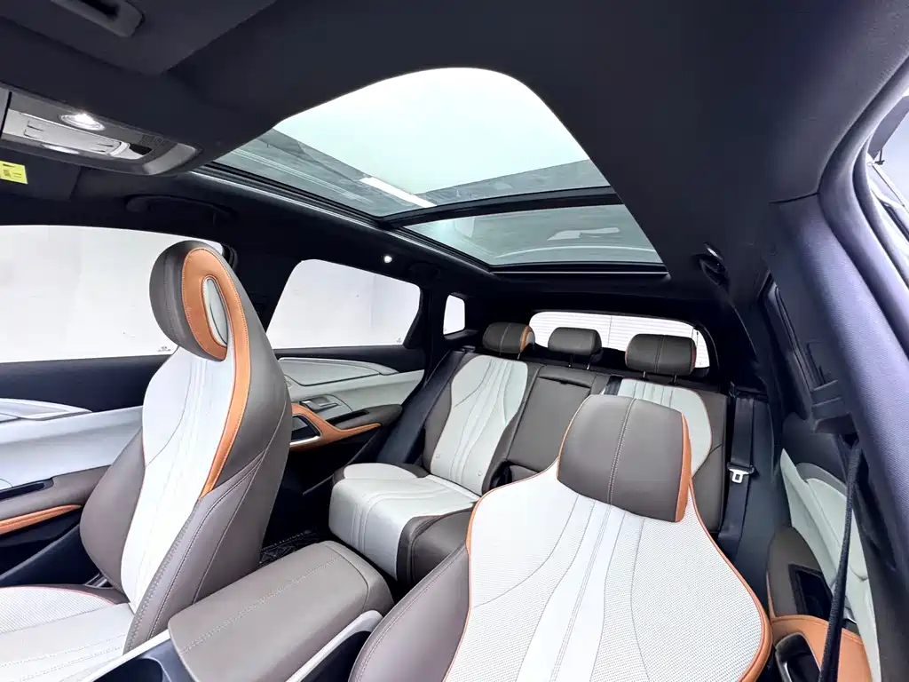 BYD Pro New Energy — миниатюра 11
