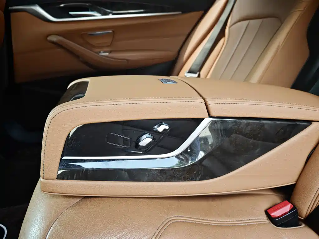 BMW 5 Series 5 2019 530Li Lead M Sport