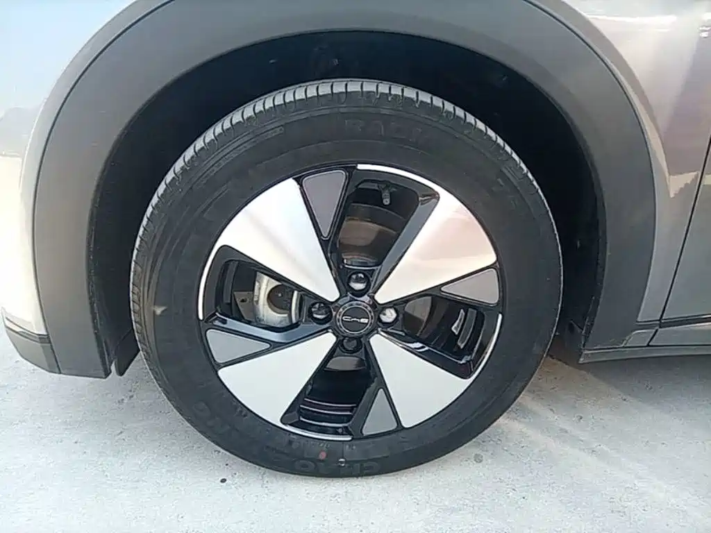 BYD Dolphin — миниатюра 23