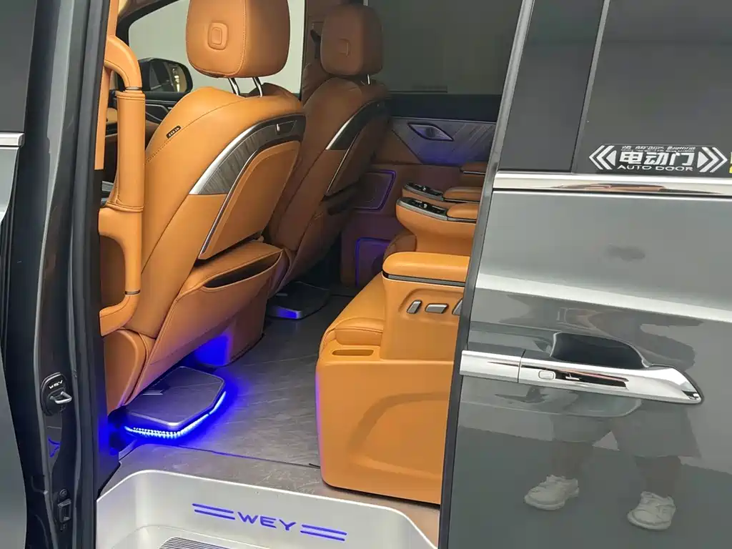 Wey Wey Gaoshan New Energy — миниатюра 19