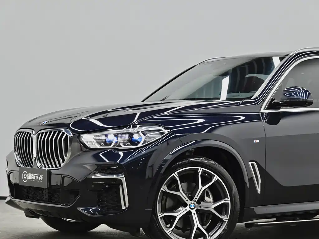 BMW X5 — миниатюра 24