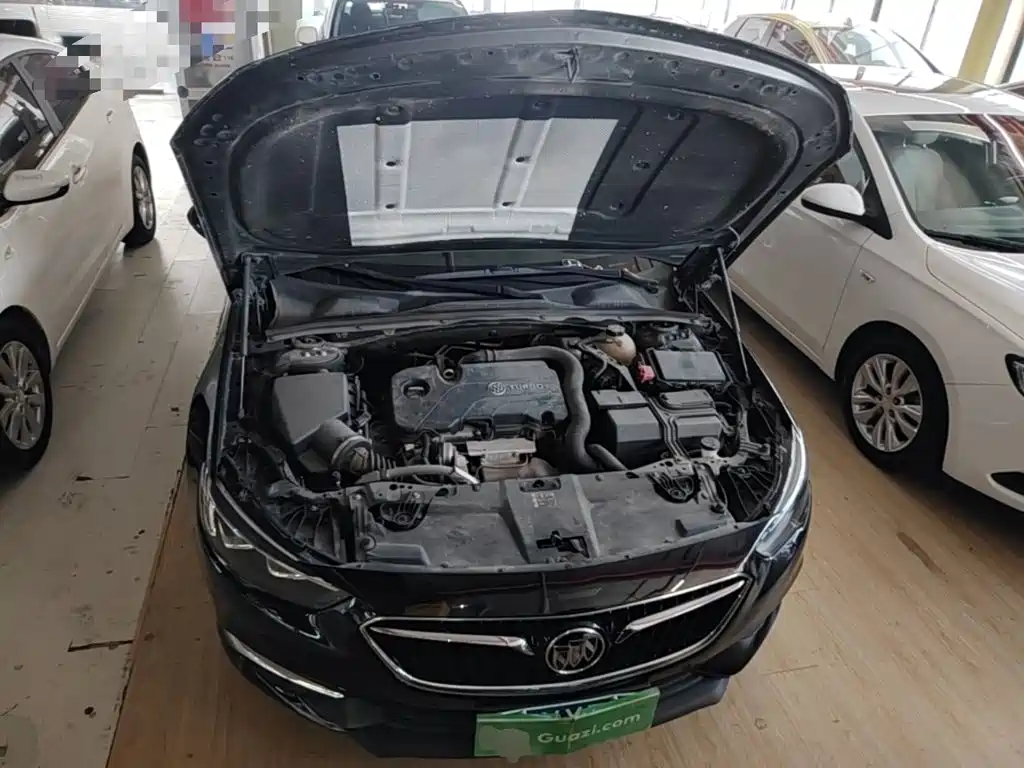 Buick Regal — миниатюра 20