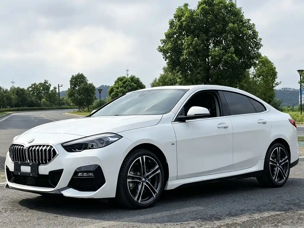 BMW 2 Series (Import)