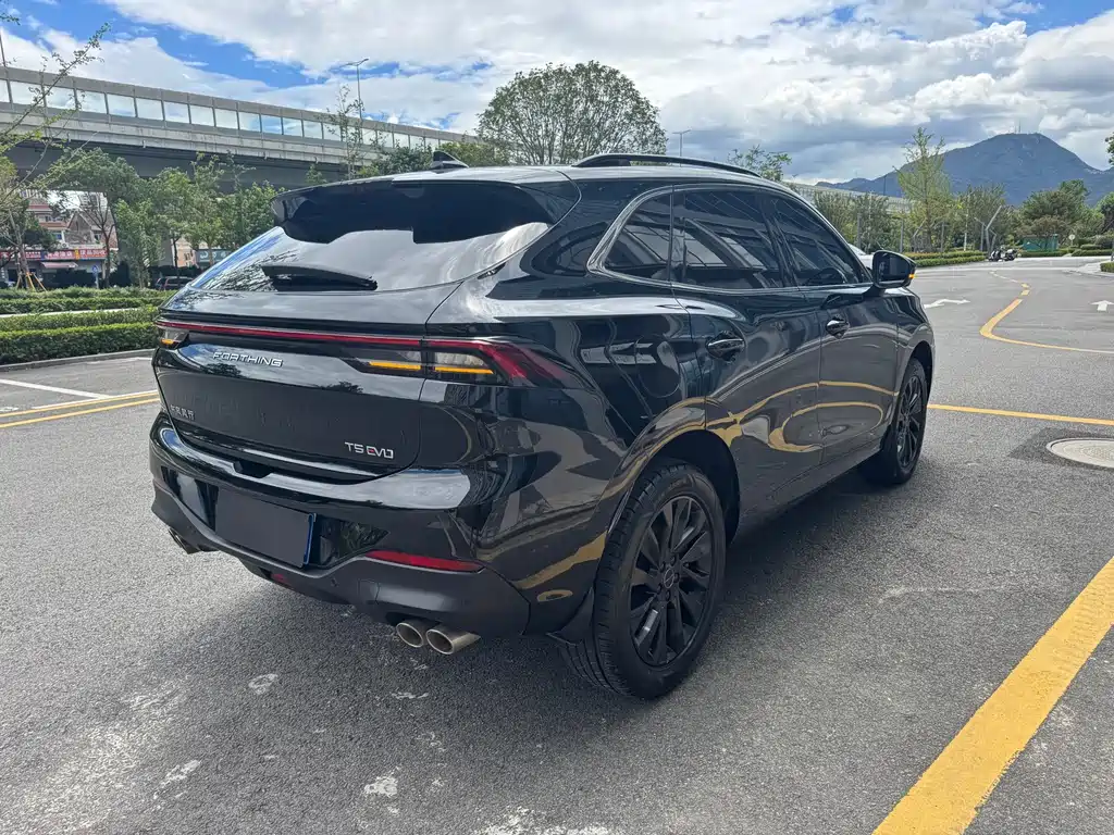 Fengxing Fengxing T5 EVO — миниатюра 14