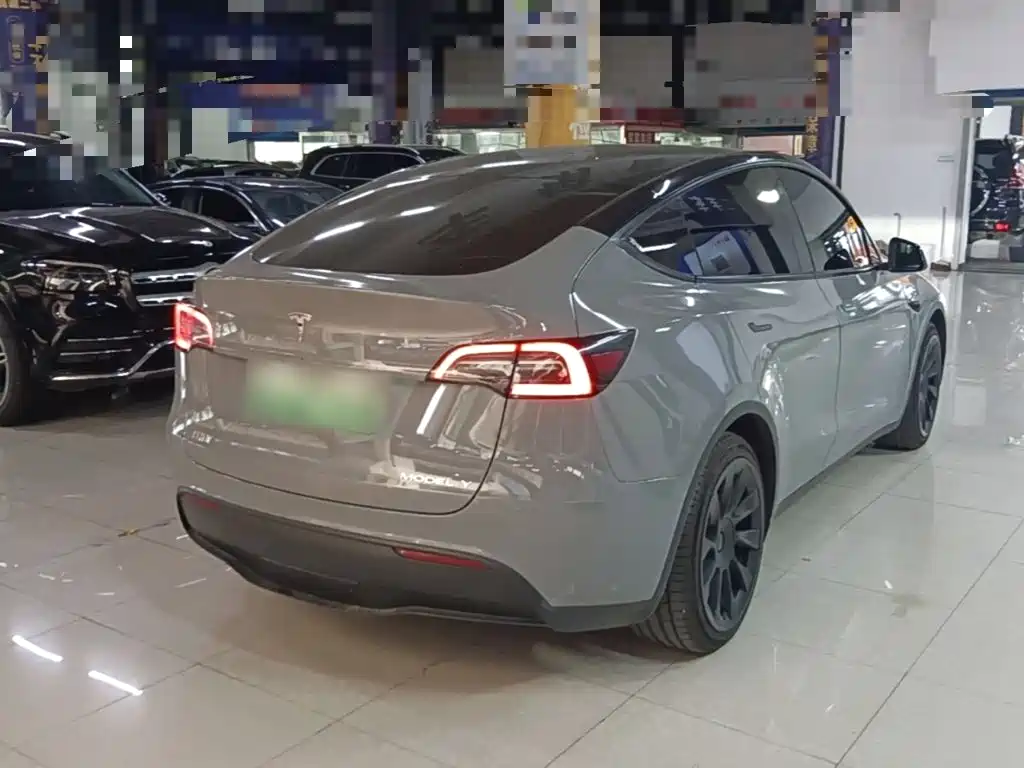 Tesla Model Y — миниатюра 7