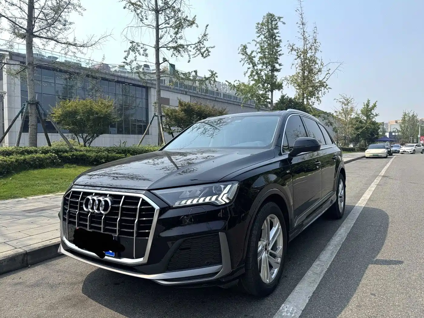 奥迪Q7 2023款 45 TFSI quattro S line运动型 2023