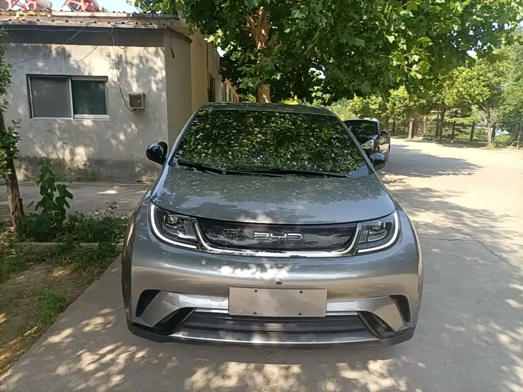 BYD Dolphin — миниатюра 3