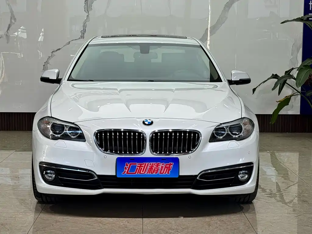 BMW 5 Series — миниатюра 2