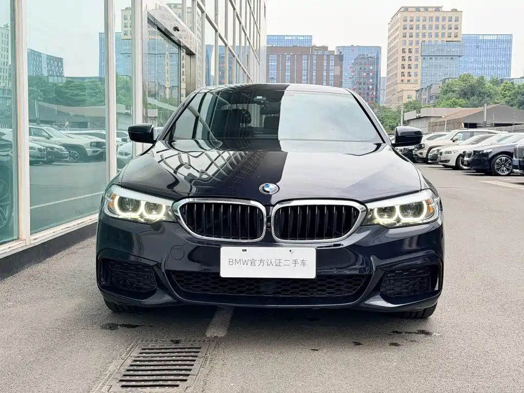 BMW 5 Series — миниатюра 3