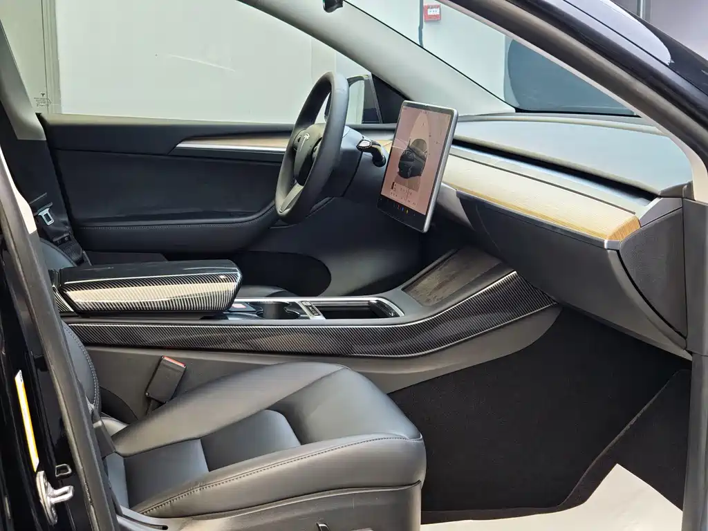 Tesla Model Y — миниатюра 10