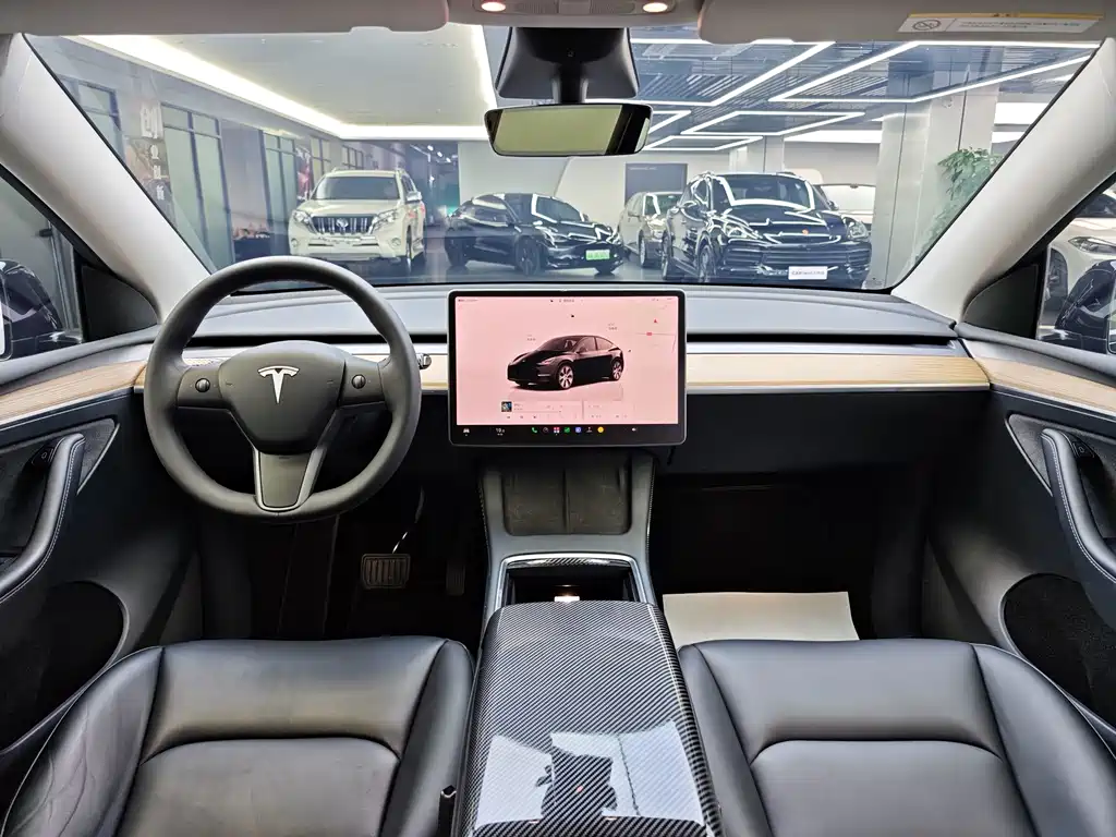Tesla Model Y — миниатюра 11