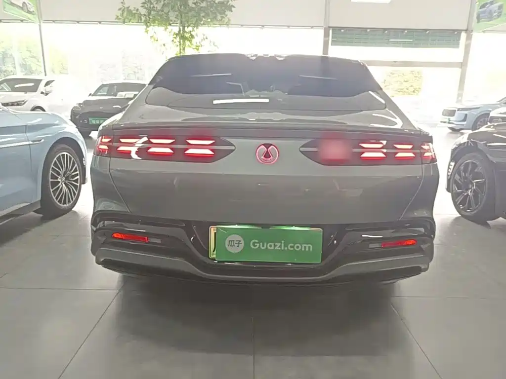 Denza Z9GT 2024 1100 Pro