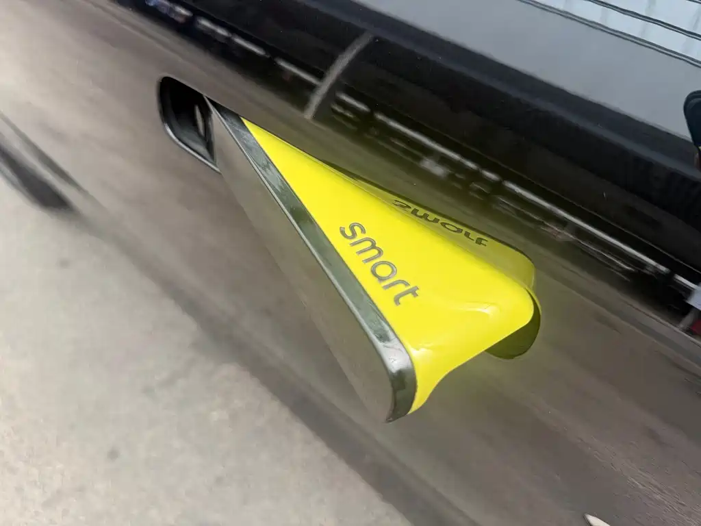 smart Smart #1 — миниатюра 6