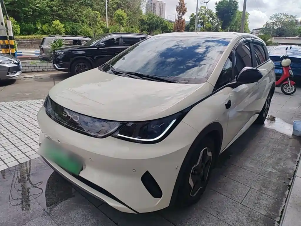 BYD Dolphin — миниатюра 2