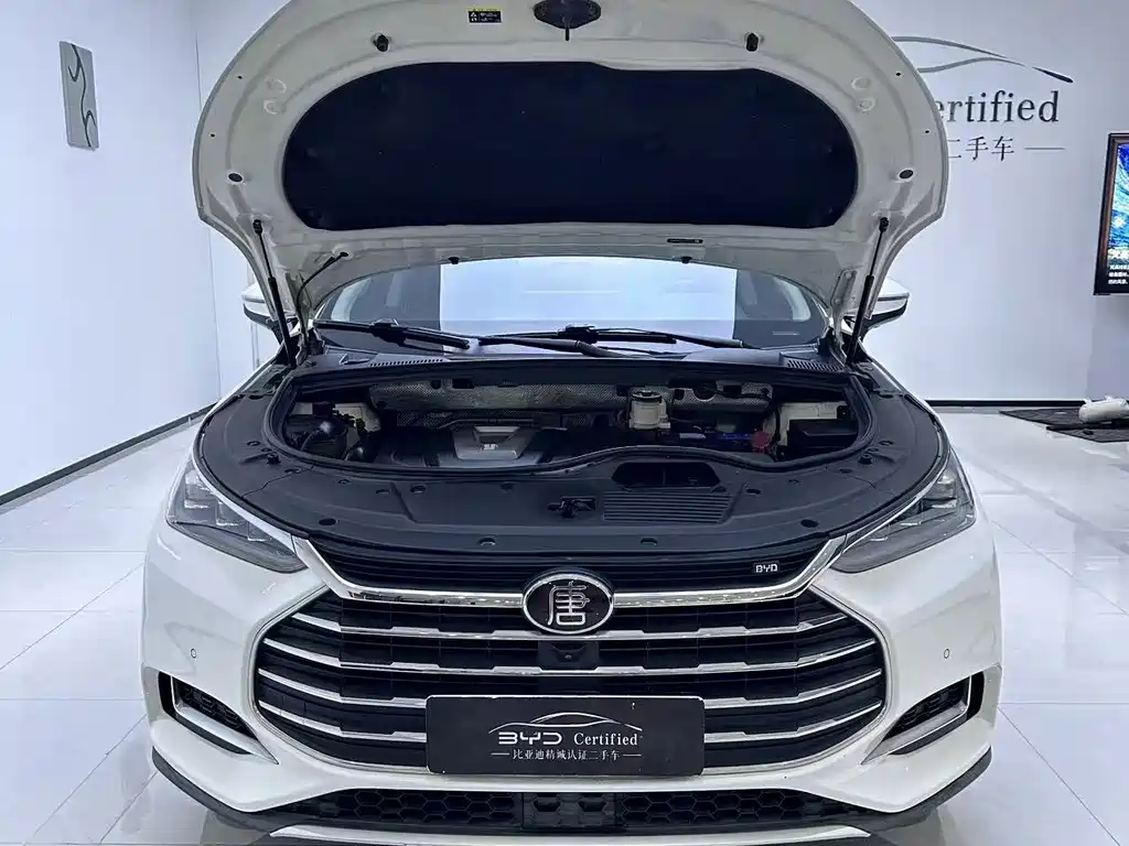 BYD Tang — миниатюра 10