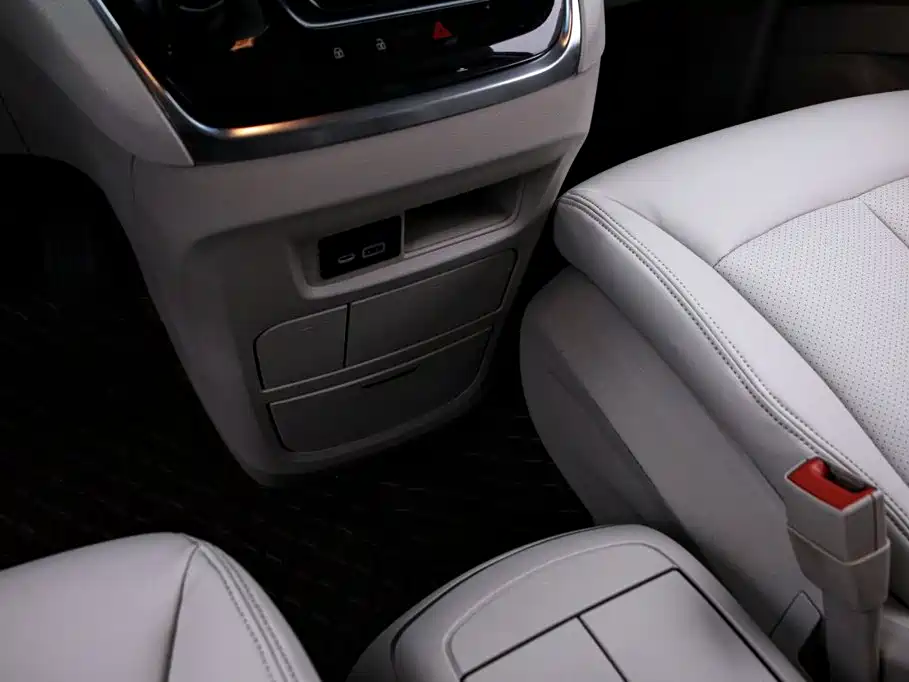Buick GL8 — миниатюра 10