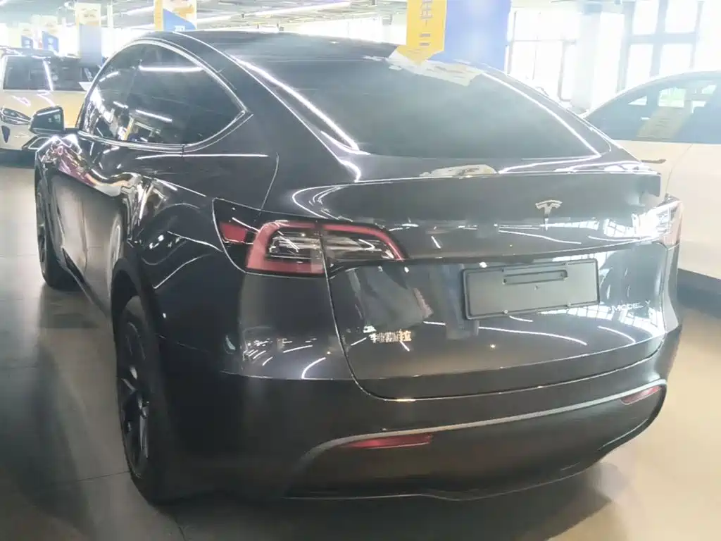 Tesla Model Y — миниатюра 5