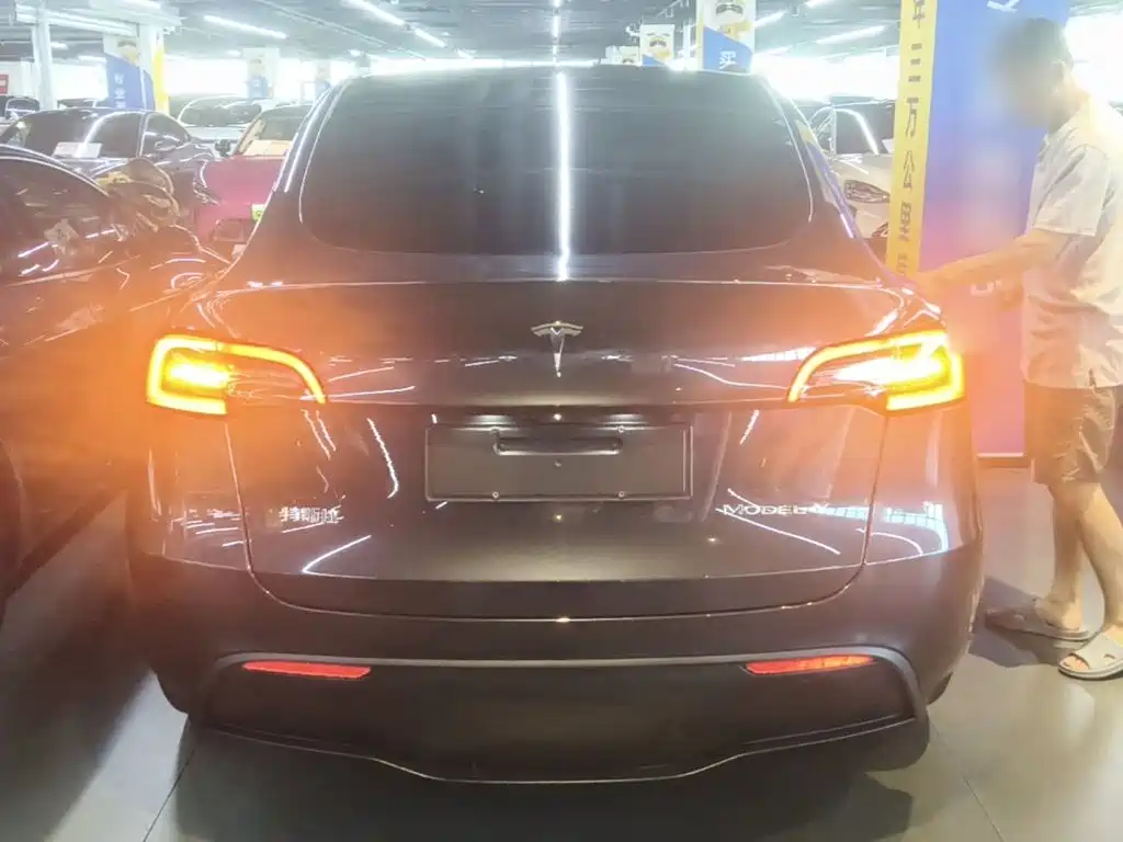 Tesla Model Y — миниатюра 6