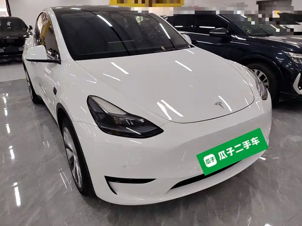 Tesla Model Y — миниатюра 4