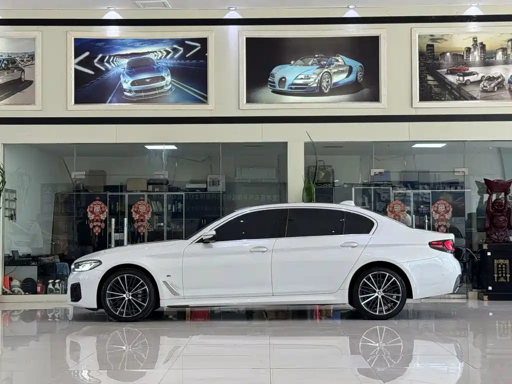 BMW 5 Series — миниатюра 3