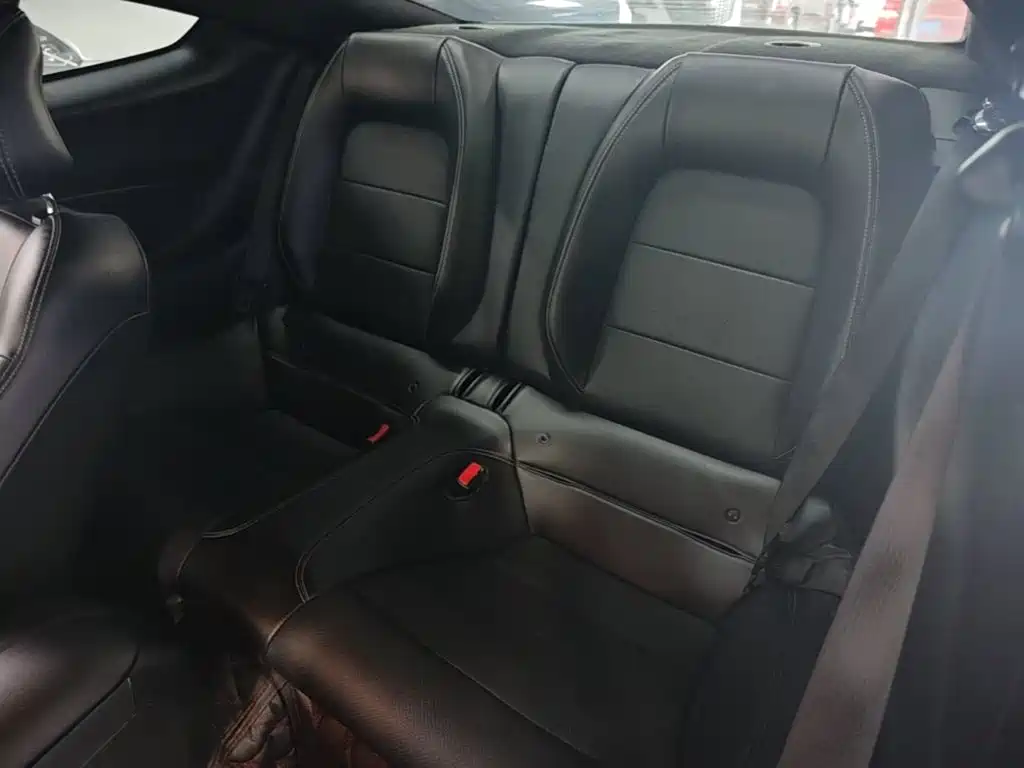 Ford Mustang — миниатюра 17