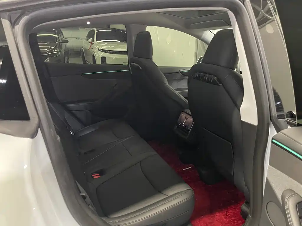 Tesla Model Y — миниатюра 20