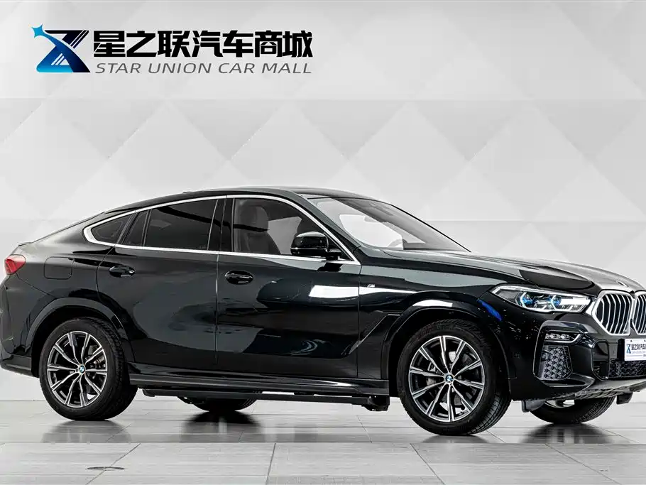 BMW X6 — миниатюра 5