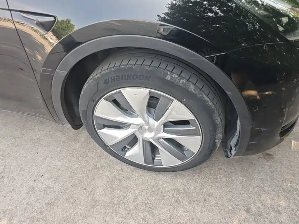 Tesla Model Y — миниатюра 23