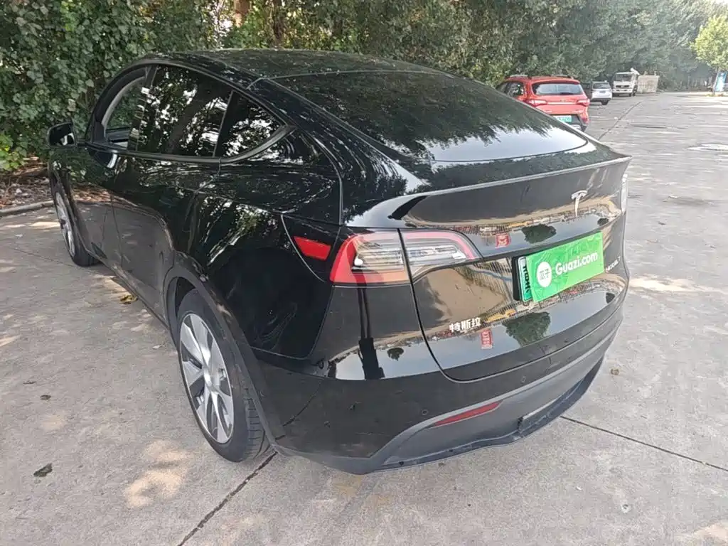 Tesla Model Y — миниатюра 5