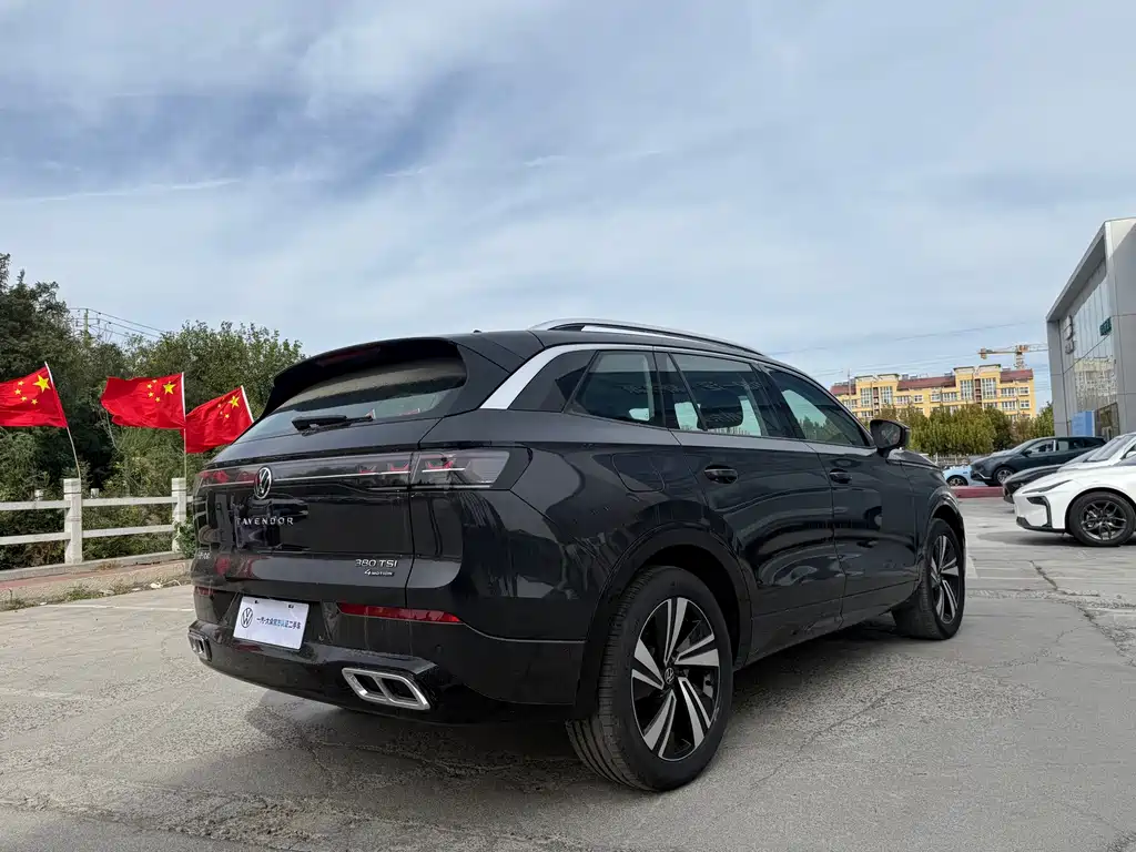 Volkswagen Tavendor — миниатюра 15