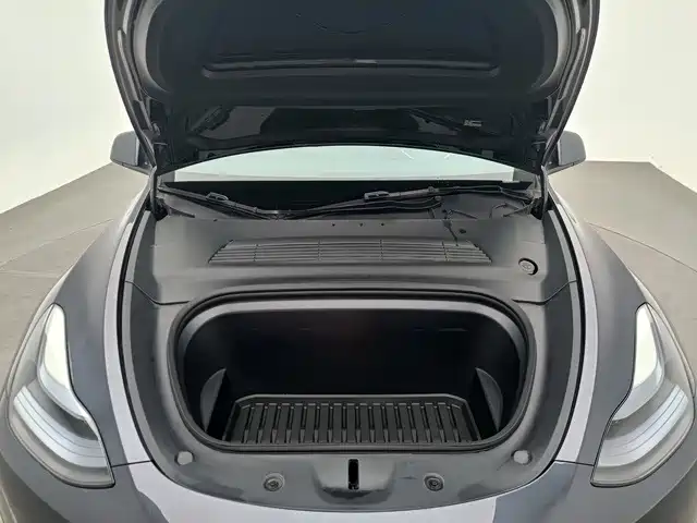 Tesla Model Y — миниатюра 15