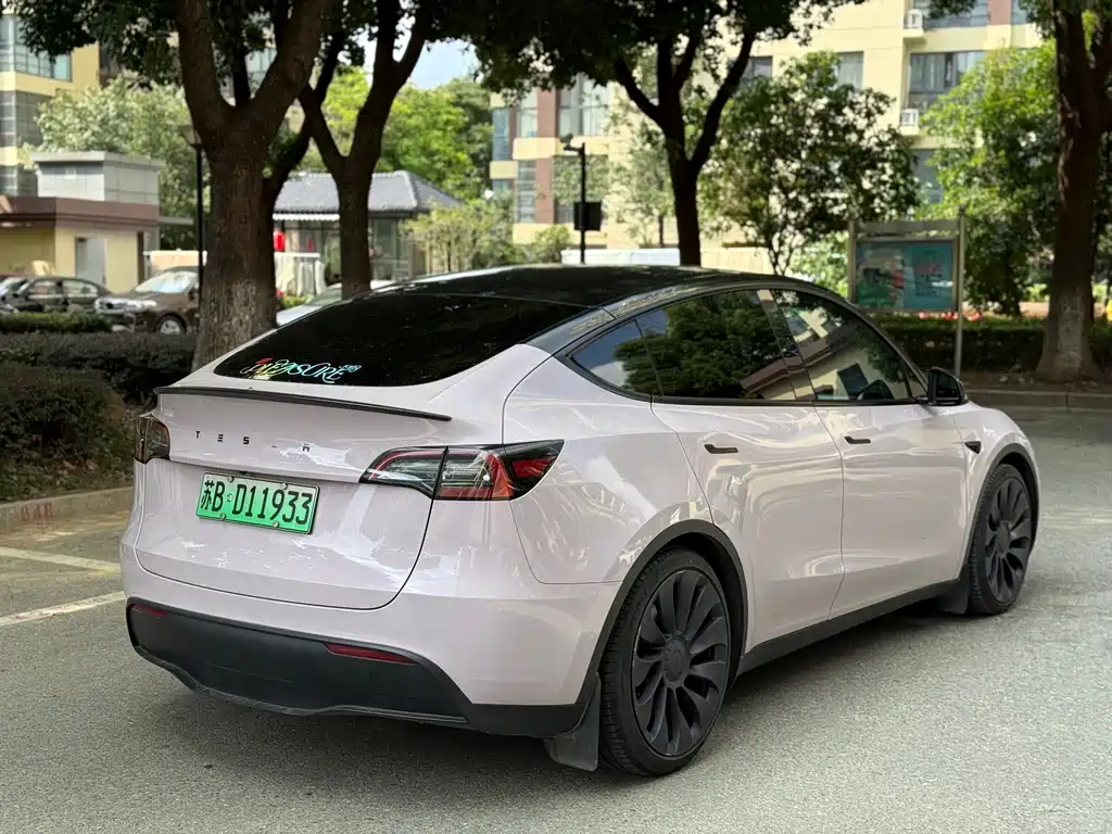 Tesla Model Y — миниатюра 9