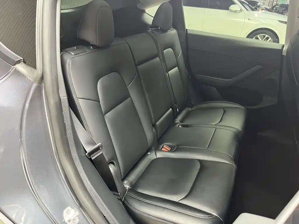 Tesla Model Y — миниатюра 10