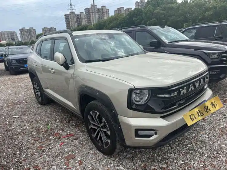 Haval Big Dog PLUS — миниатюра 2
