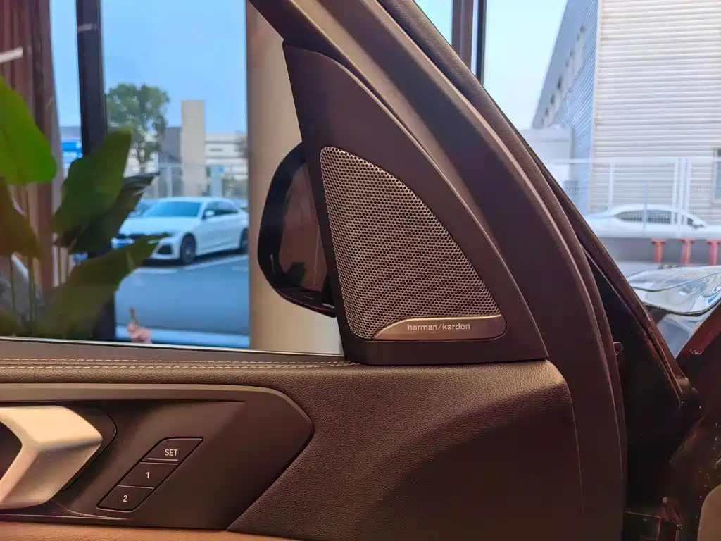 BMW X5 — миниатюра 13
