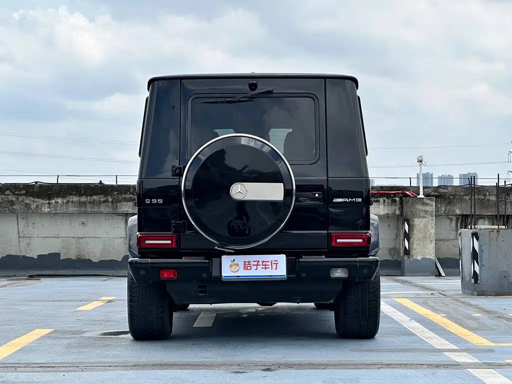 Mercedes-Benz G-Class G 2009 G 55 AMG