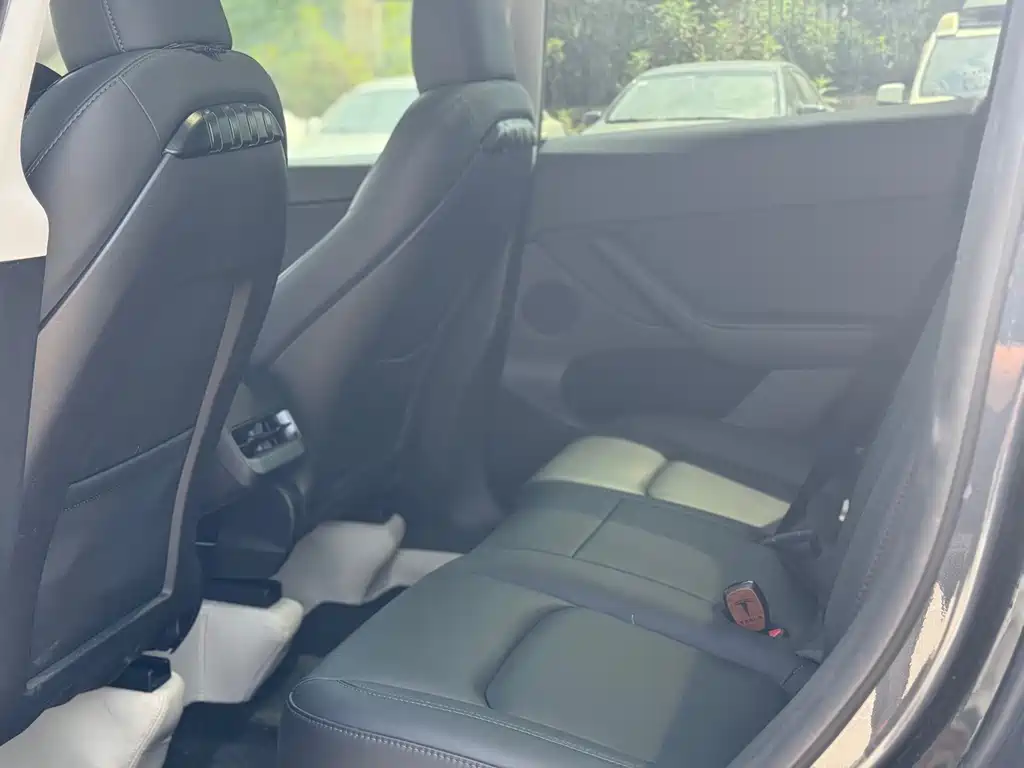 Tesla Model Y — миниатюра 11