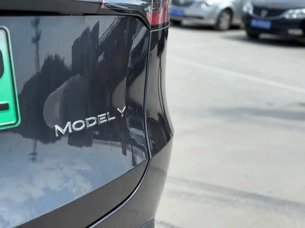 Tesla Model Y — миниатюра 18