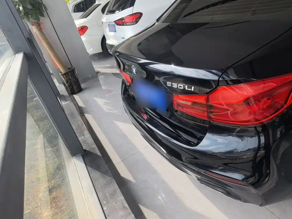 BMW 5 Series — миниатюра 6
